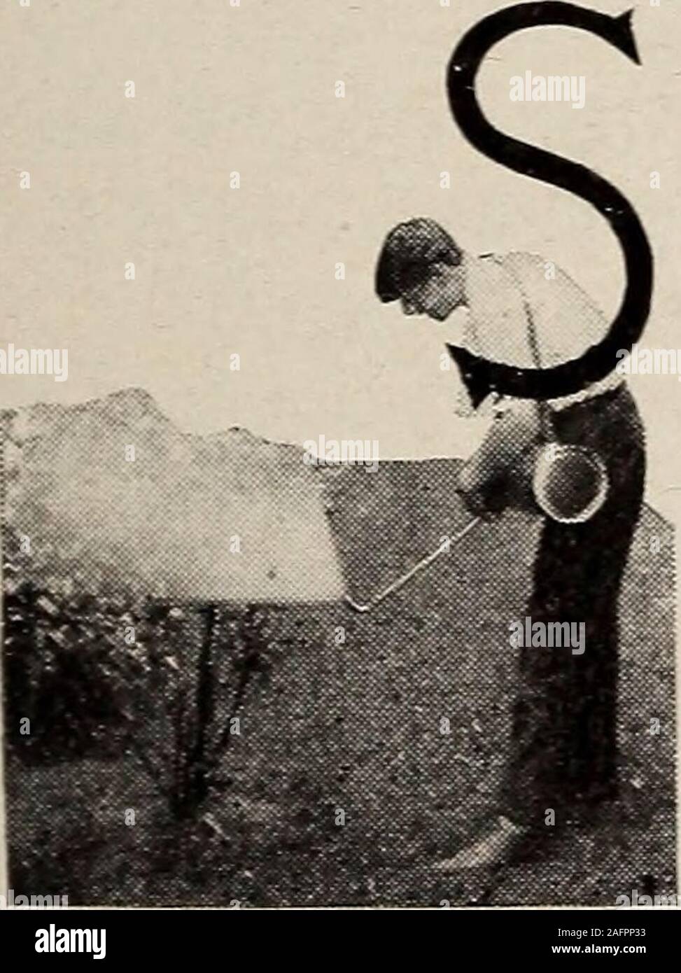 . Biggle Garten Buch; Gemüse, kleine Früchte und Blumen für Vergnügen und Profit. ING Mischungen sind dividedinto zwei Klassen: Fungizide andinsecticides. Oft jedoch Ifind, dass es möglich ist zwei in einem Spray thusfight unitethe - und beide Pilz und Insekten an. Eine Mischung ofBordeaux Lösung und Arsen - ical Gift, ist ein gutes Beispiel ofsuch eine Kombination. Bordeauxmixture ist die besten und nützlichsten aller knownfungicides für den allgemeinen Gebrauch. Fungizide.-Bordeaux Mischung wird von Tak-ing vier Pfund von Sulfat aus Kupfer, vier poundsof Luftkalk, 50 Gallonen Wasser Stockfoto