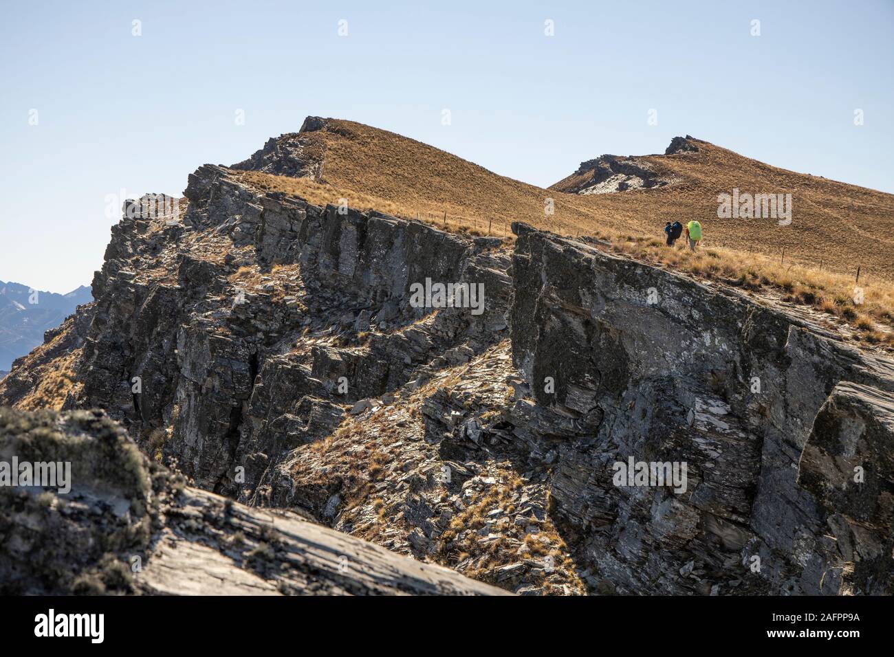 Wanderung und Fliege, Südinsel, Neuseeland Stockfoto