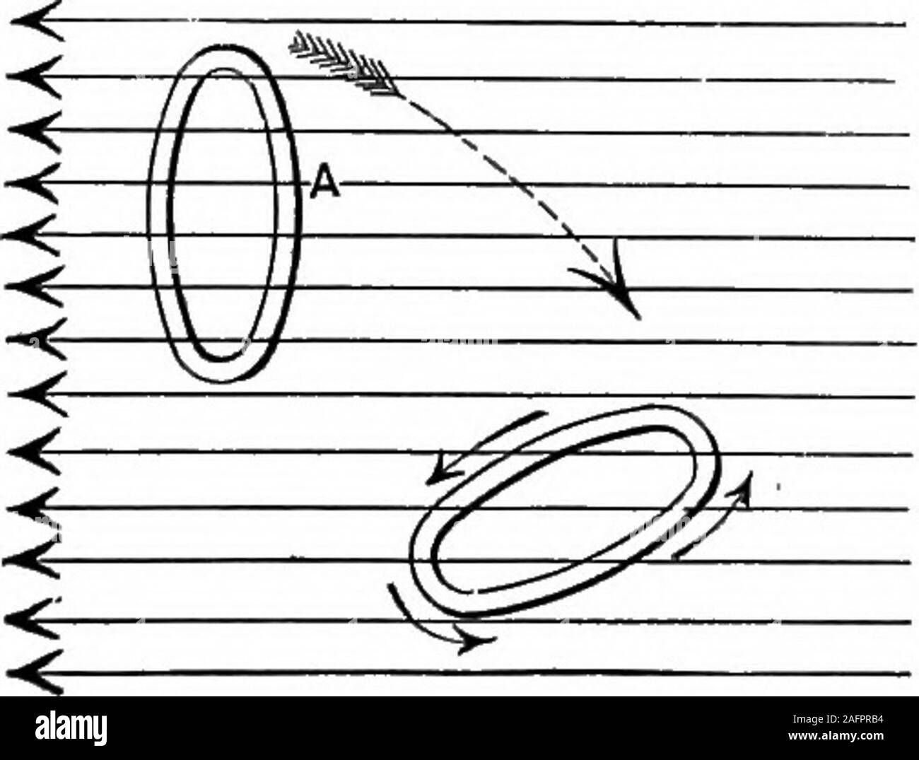 . Die Grundsätze der Physik. Abb. 442. Kraftlinien der Erde bewirkt eine Änderung der Nummer oflines von Gewalt passiert, als byinspection Schwein verstanden werden kann. 443, und dies erzeugt temporäre currentsin der Spule. Durch die Prüfung der Abb. 443 Es gesehen wird, dass es arein Jede vollständige Umdrehung der Spule zwei Punkte (als in thefigure) wo die Spule enclosesa Maximale Anzahl Zeilen offorce. In dieser Position die in reduziert Aktuelle verschwindet, für atthis Instant die Anzahl oflines ist weder zu nordiminishing. Da die Spule inits rotation Ansätze thesepoints, die Anzahl Stockfoto