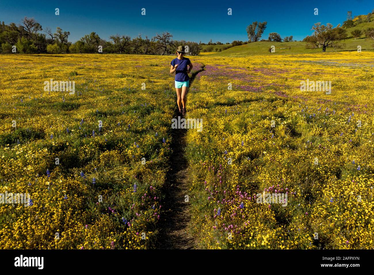 APRIL 10, 2019, SAN LUIS OBISBO, CA., USA - Jogger durch 'Super Bloom Frühling Blumen aus Shell Creek Road, San Luis Obisbo County, Kalifornien läuft Stockfoto