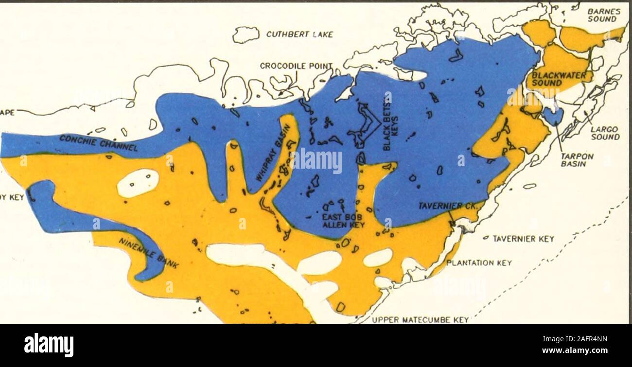 . Bulletins der amerikanischen Paläontologie. Text-Abbildung 8.-Die meisten importani laxa (il die CVnIral i; lenor RiotaLies. A. IhtuhiJonUs ci, slus H Ki C PiiuhuU, inihi CUTHBEDT SEE. lignumvi/Ae-taste Q | ^ PCR MATECUMBE KEY Text - Abbildung 9.- Karte des Zentralen Biotacies: Gelb shadiiig zeigt Außen Biofaeles: blaue Schattierung zeigt Innenraum Biofac Muschelschalen in Florida Bay: Shaw Stockfoto