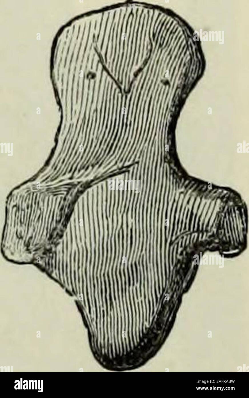 . Ilios: Die Stadt und Land der Trojaner: Die Ergebnisse der Forschungen und Entdeckungen auf der Website von Troja und der gesamten Troad in den Jahren 1871-72 -73-78-79, einschließlich einer Autobiographie des Autors. Nr. 1299. Terra-cutta Vase mitdem Merkmale einer Frau. (1:4 der tatsächlichen Größe. Tiefe, 6i ft.) Nr. 1300. Idol von Terra-cotta, mit Eulen Kopf. (Die Hälfte der tatsächlichen Größe. Tiefe, 6i ft.). Stockfoto