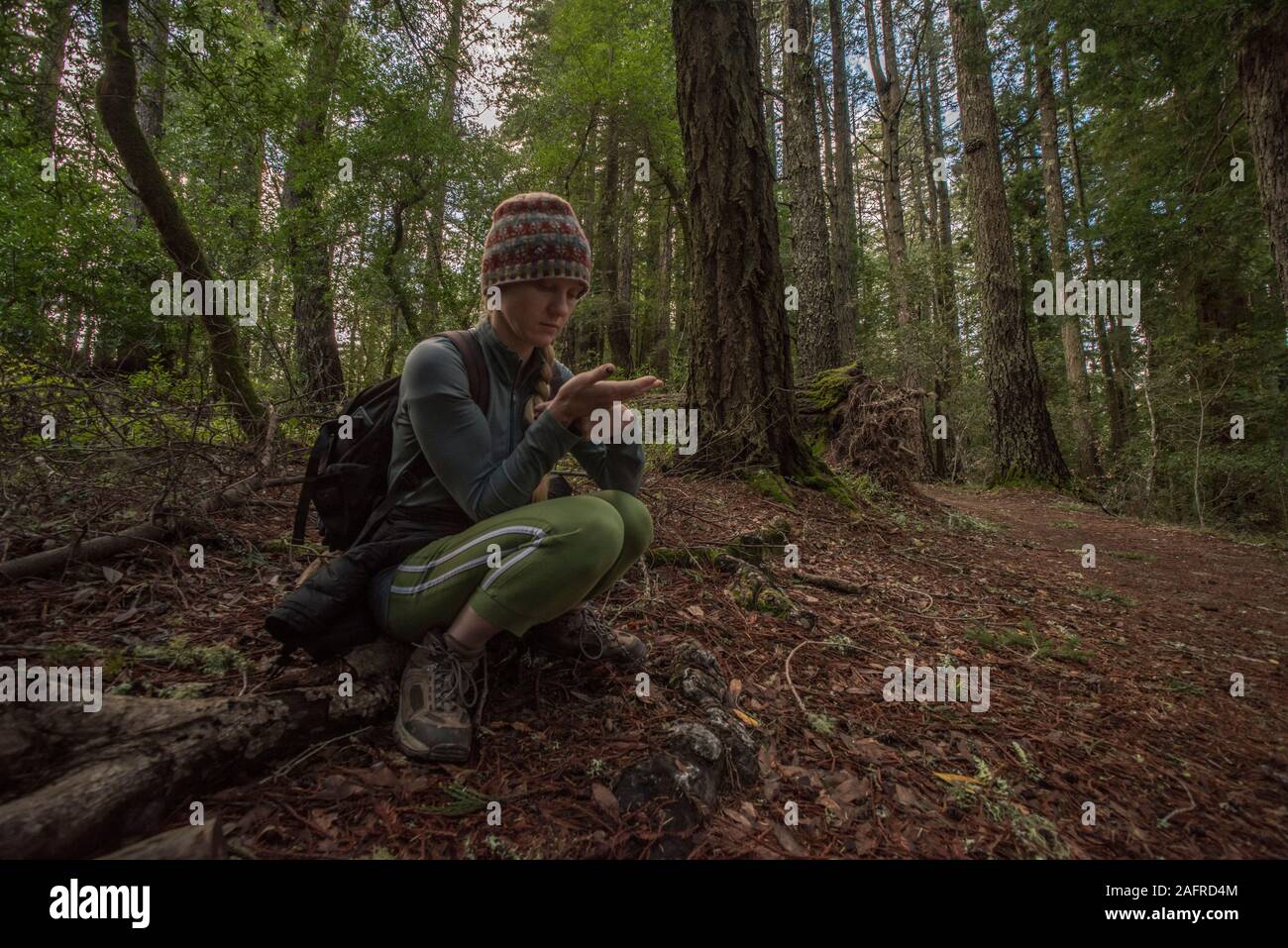 Eine weibliche Wanderer Zwiesprache mit der Natur, mit einem Salamander und Untersuchung von it in Marin County, Kalifornien. Stockfoto