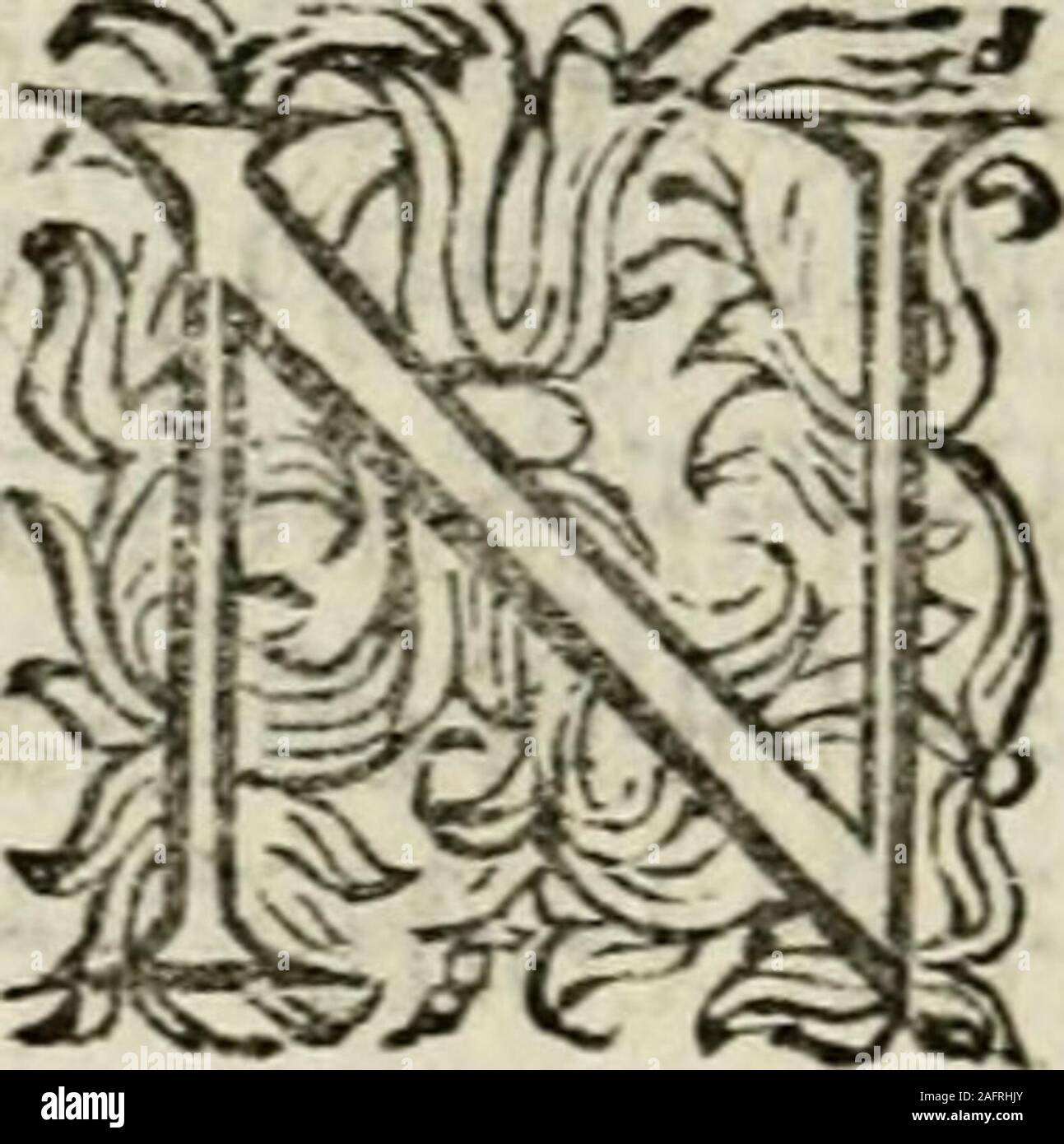 . Scelta d'alcuni Miracoli e Grazie della Santissima Nunziata di Firenze. Terra, Dando vna grandifTima percofTa sùl laftri - Cato della ftrada. E nondimeno folo Nella boccak fi vide offela, onde Tre Denti le vfcirono, folofanguinofè Le labbra dimofi: Rando. Ma fuggitofida lei Lo sbigottimento, Niun altro männlichen nella Pro-iònale fu veduto, o Da lei fentito, fé Ben tutte lemembra in quella Gran caduta romperlefi Doue-uano. Laonde conofciuto da Lei il foccorfo diui - nein; volle che Pro vna Immagine di appariffe fuadiuozione manifeilo fegno.. T ululo, neldt Jle^o ihe Gli fi pone ti capre/lo alla Gola^v Stockfoto