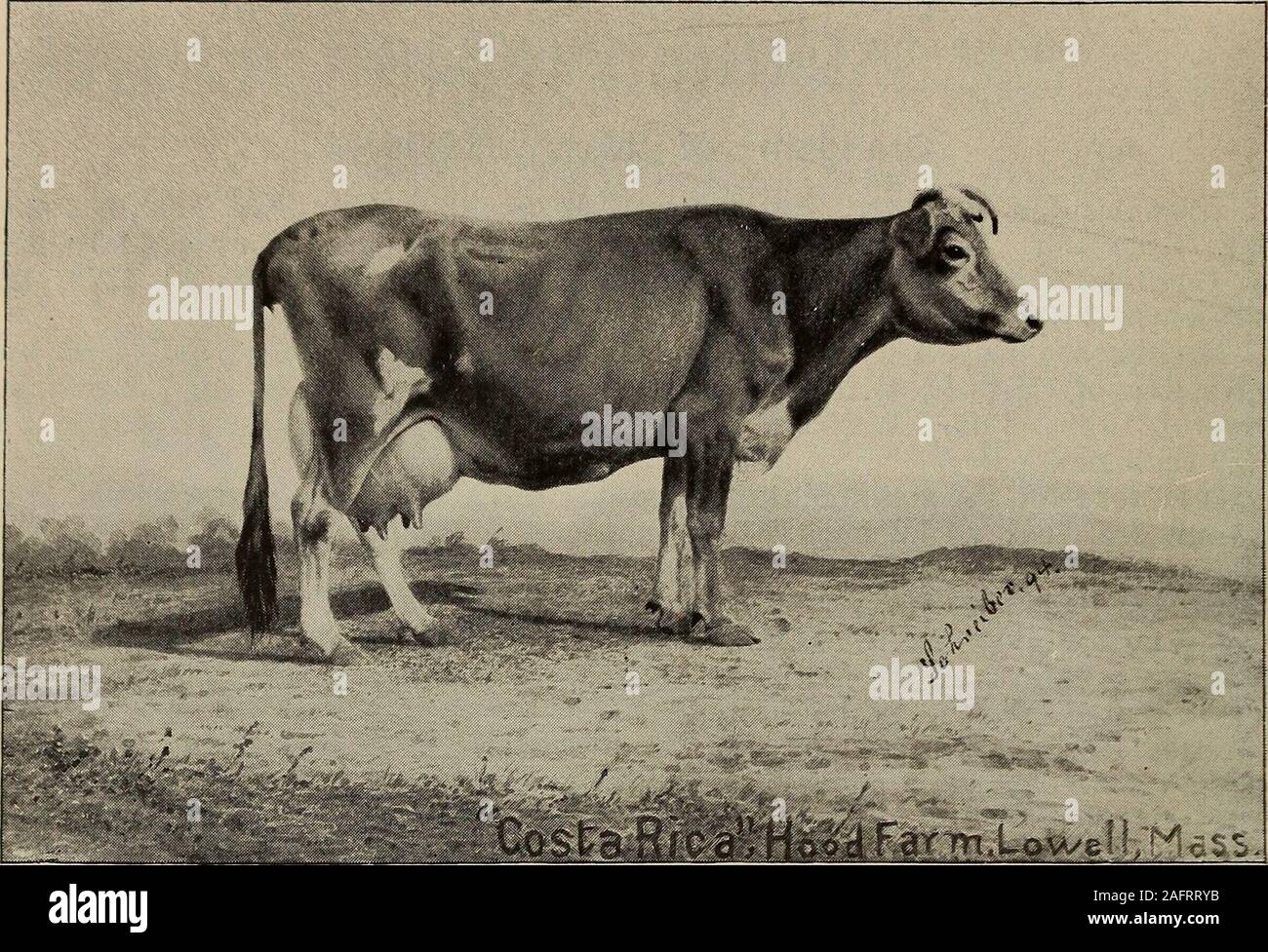 Rene diff -Fotos und -Bildmaterial in hoher Auflösung – Alamy