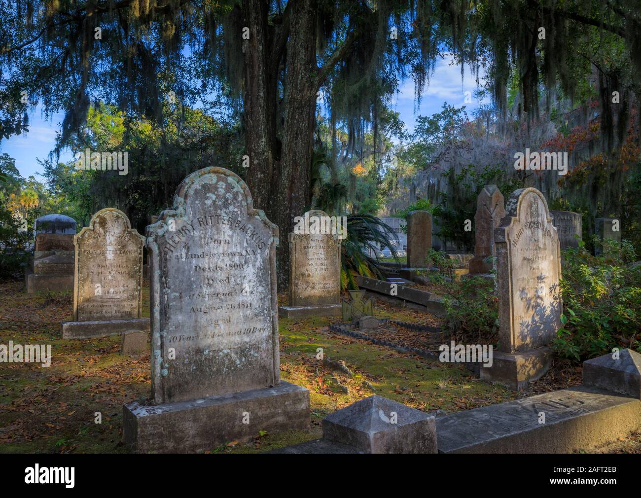 Bonaventure Cemetery ist eine ländliche Friedhof auf einem malerischen Bluff der Wilmington Flusses, östlich von Savannah, Georgia. Stockfoto