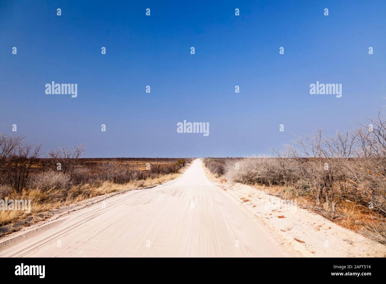 Geländewagen Schotterstraße, von Maun zum Moremi Wildreservat, in der Wüste und im Busch, Okavango Delta, Botsuana, Südafrika, Afrika Stockfoto