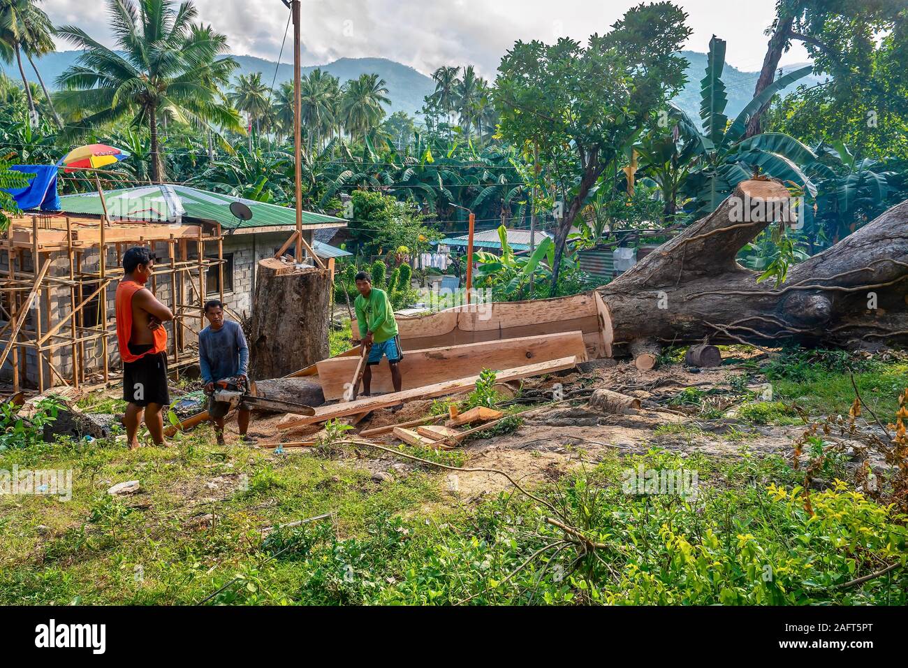 Puerto Galera, Philippinen - Sept. 28, 2019. Einem großen alten Baum geschnitten und in Schnittholz Material zu liefern, die steigende Nachfrage nach Gehäuse gesägt. Stockfoto