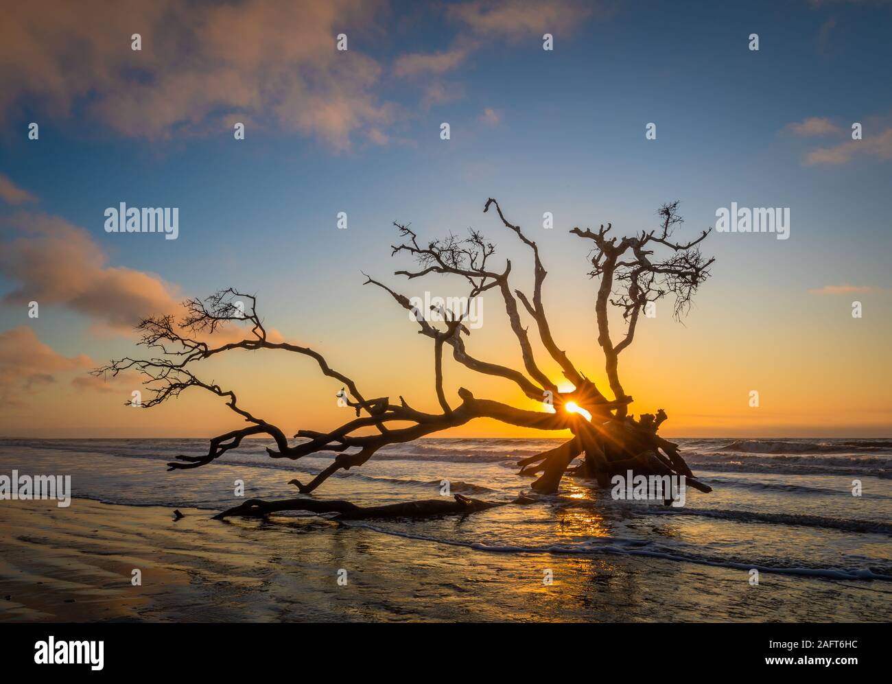 Edisto Island ist eine von South Carolina der Sea Islands, den grösseren Teil in Charleston County liegt, mit seiner südlichen Spitze in Abbeville County. Th Stockfoto