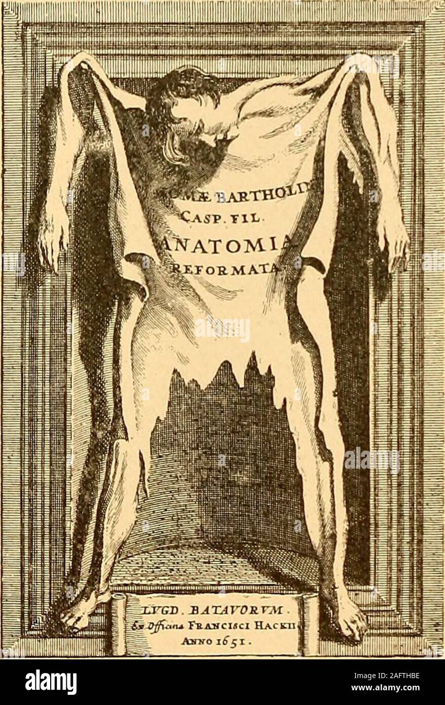 . Fragmenter af fødselshjaelpens Historie. ter Hund med en Til - slutning fra Bartholins Seite, dersynes ret forbeholden (n.n.). Anatomisk eingestellt er Hans Rede - gørelse Für Tubae, Ovarier og disses Udføringsgange høist uklar. Der Geschichten (Cap. XXVII: de vasis Ductus deferens. inprimis Tuba uteri) baade Om Deferentia (lignende Grene af Venae lacteae, "nisi ipsae v. Laet. sint) og om Tubae; de første bringer Saeden dels til Tuba, hvor den op-fremtidig bevares til Brug, dels til Fundus uteri, og Vas deferens, der fungerer som saadant, svarer til vort Ligam. Ovarii efter Um Es (Abb. 106, z). - Et siehe Vas deferens Stockfoto