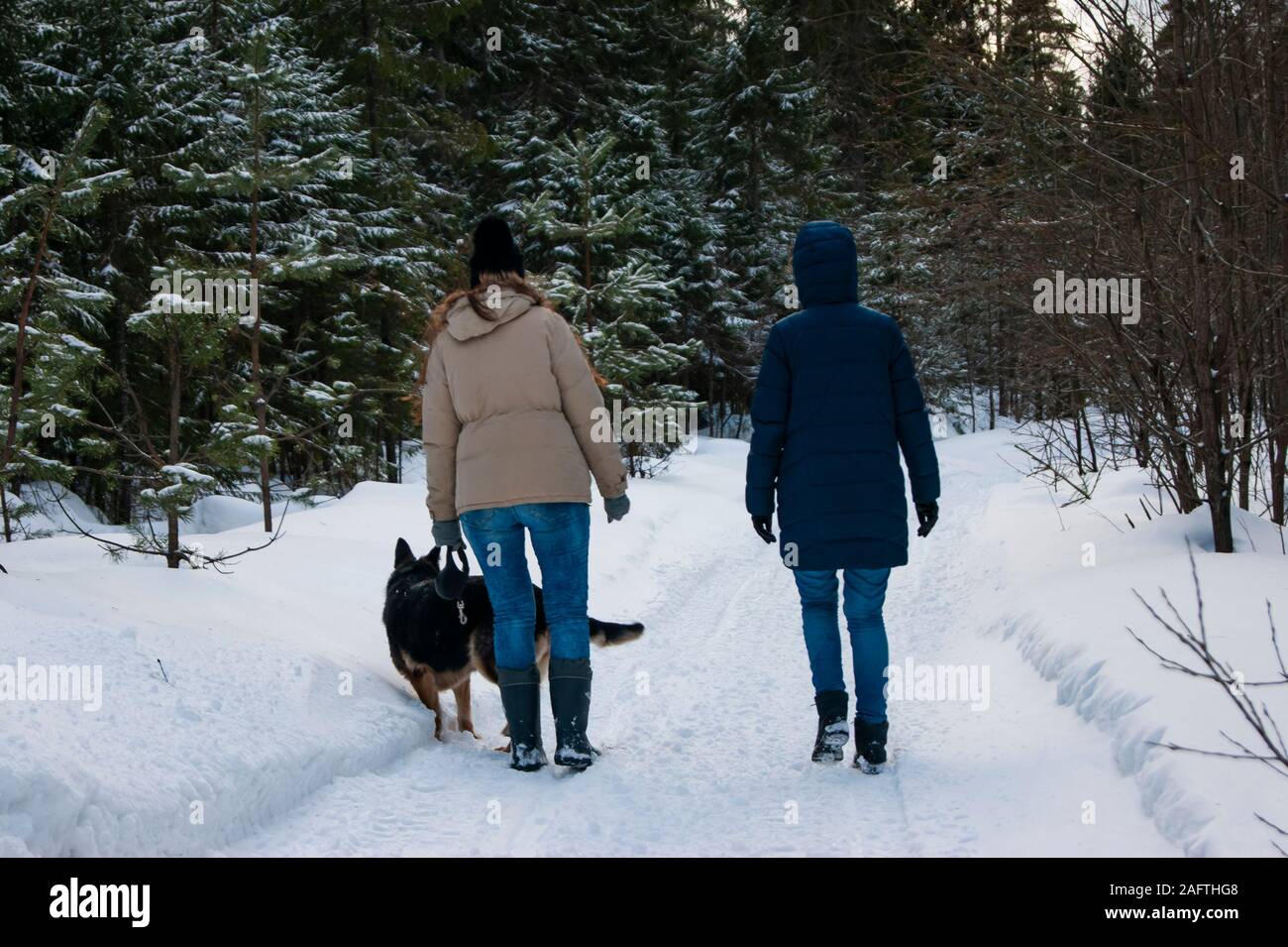 Zwei Mädchen und ein Hund sind zu Fuß in den Winterwald. Der Wandel der Zeit des Jahres, die Ankunft des Frühlings Stimmung fügt dem Spaziergang. Stockfoto