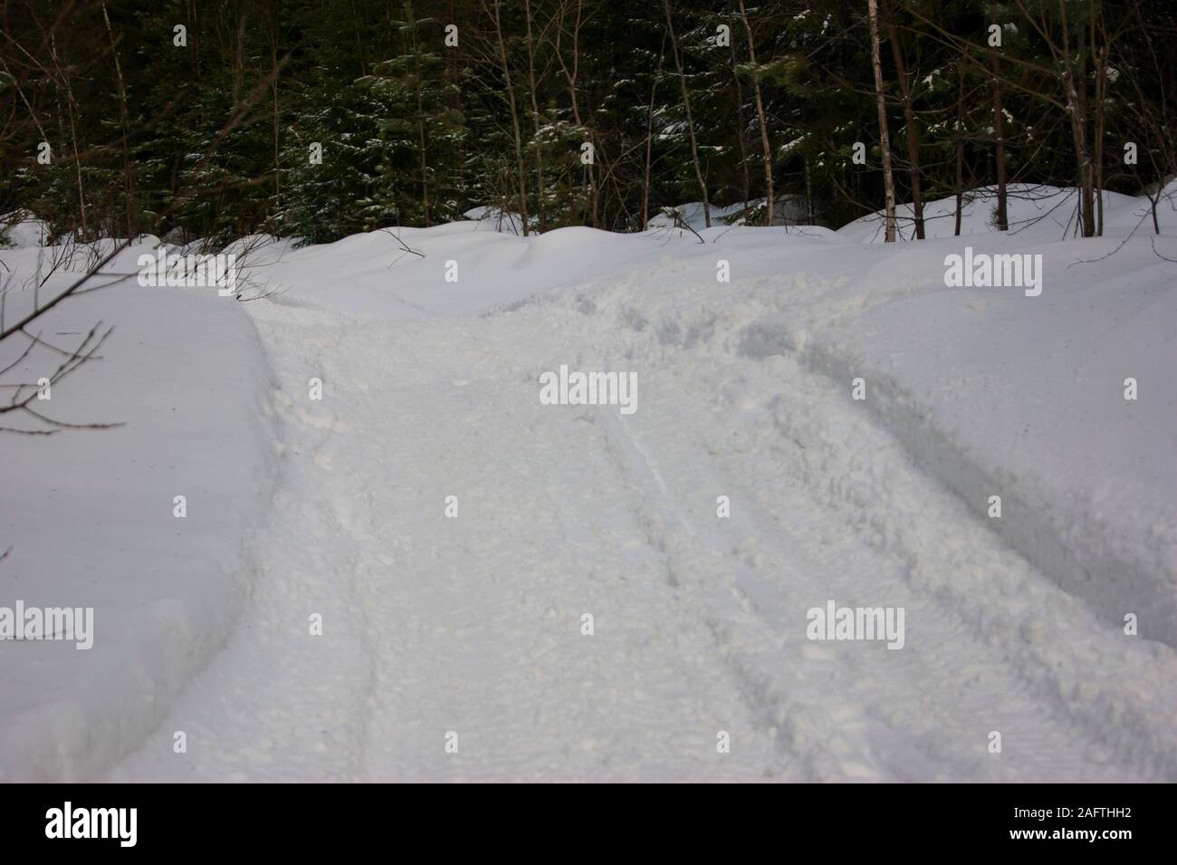 Verschneite Straße durch den Wald. Mystischen Wald kommt zum Leben mit der Ankunft des Frühlings. Stockfoto