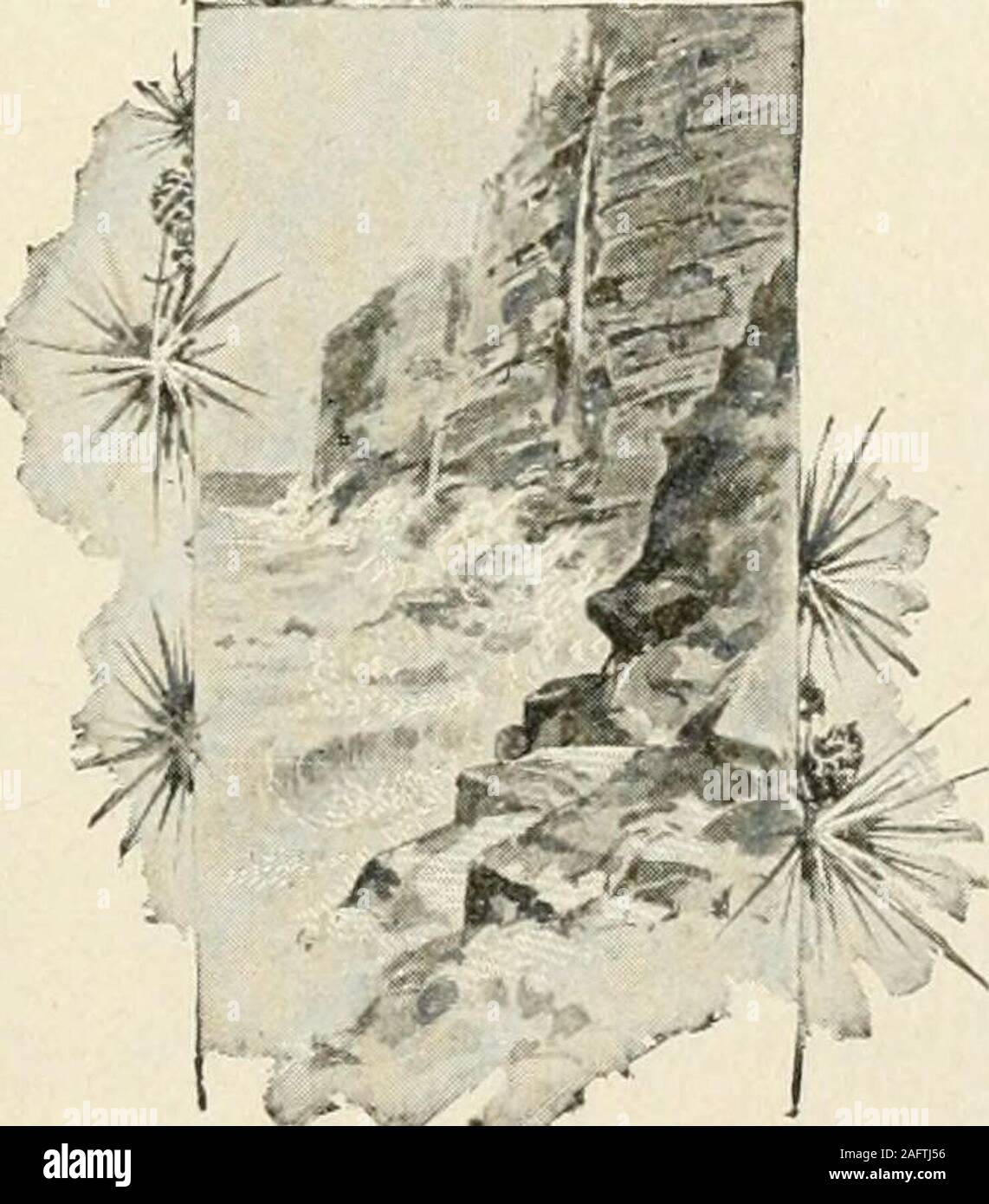 . Das Leben und die Schriften von Rufus C. Burleson, mit einer Biographie von Dr. Burleson von Harry Haynes; Beerdigung Gelegenheit, mit Predigten, usw.; ausgewählte "Kapelle Gespräche; "Dr. Burleson als Prediger, mit ausgewählten Predigten. notknow eine Sache. Eufus erinnerte seine Vater, wenn thecongregation lachte, unter diesen vernichtenden Kritik an thedenomination, dem er angehörte, er seinen Kopf inshame hing, nicht, daß die Unterstellungen entweder true oder waren einfach, butthat gab es sogar eine Entschuldigung für Sie zu erstellen. Meine Seele, Rufus sagte, verbrannt, als junge Davids tat, als Goliathderided Israel und Israels Gott, und ich will Stockfoto