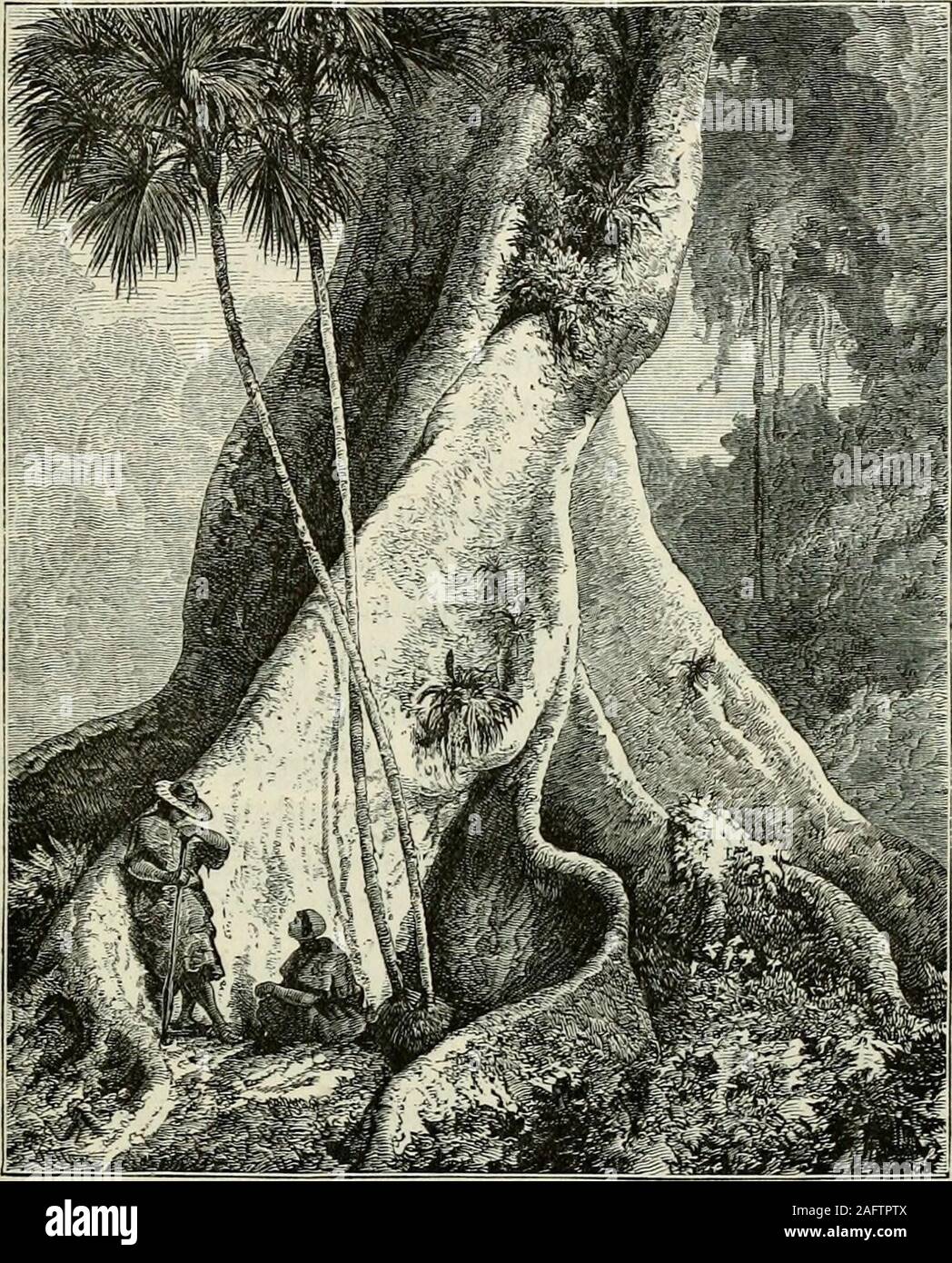 Humbler Stockfotos Und Bilder Kaufen Alamy