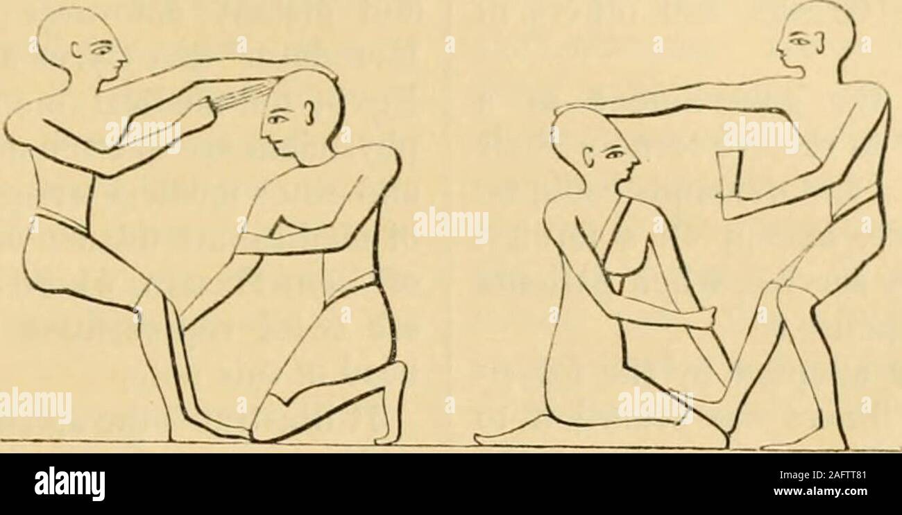 . Die bildhafte Geschichte von Palästina und das Heilige Land mit einer kompletten Geschichte der Juden. [Jüdische Diysician. - Moderne Orientalische.] zeitgenössische Könige. Könige von Jud.h. Rehabeam b.c. 990 Abijali 973 Asa 970 Gestorben 929 Könige von Israel. Jerobeam v. Chr. 990 Baaslia 966 Ela 943 Ziinri und Omri 942 Aliab 931 starb 909. Siehe 2 Chron. xvi. 14, Xxi. 19; Jer. Xxxiv. 5;. mos, ich. 10. Kap. V.] NOTR auf Medizin. 561 NOTK auf Medizin. [Ligyptian Ärzte.] () Medizin, S. 560.- Die folgenden ob-Vorbehalte, vor allem aus den Werken ofLightfoot abgeleitet, Professor Jahii und Sir J. G. Wilkin - Sohn, mit einigen Ad Stockfoto