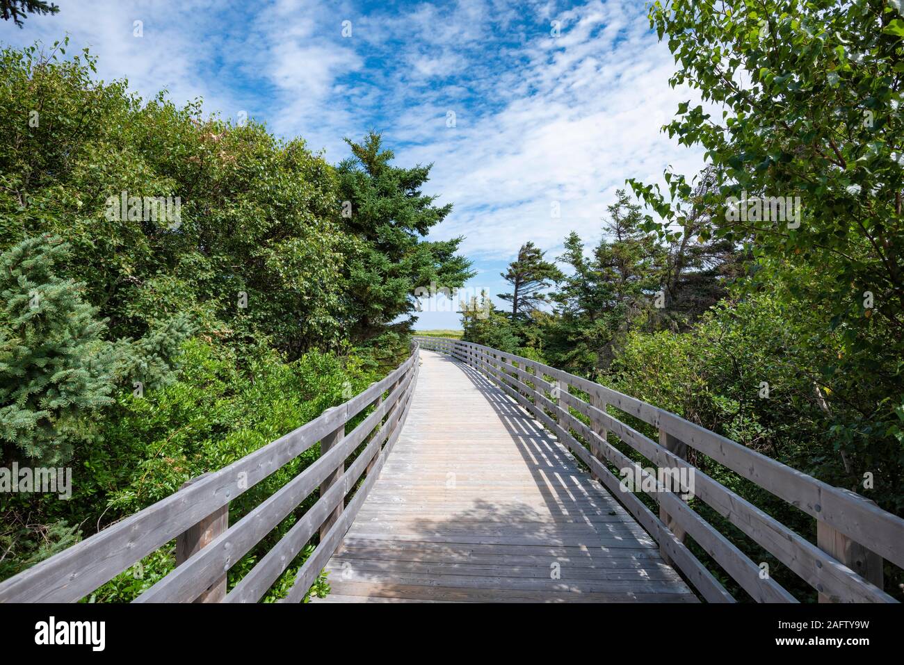 Holzsteg auf Dune Trail, Greenwich Dunes Trail, Prince Edward Island, Kanada Stockfoto