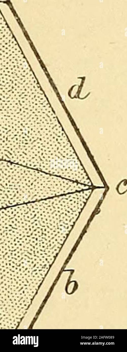 . Ergänzung zu Spons Wörterbuch von Engineering-, Zivil-, mechanische, Militär und Marine. I. hob entfernt, und das Feld d d ersetzt. Das ganze wird nun invertiert, und die Box 6 6 abheben, so daß der verbleibende Teil der Muster, die entfernt werden, was getan wurde, und themolding geschwärzt und geglättet, und der Core 0 gewählt wurde, wird das Feld ersetzt wird, und die beiden sind finallyrein umgewandelt. Die ringförmige Kern cde nie aus ihrer Situation während des Prozesses aufgehoben, und wenn zwei Felder miteinander verknüpft sind, ist es von allen Seiten geklemmt, und damit jede Möglichkeit eines shiftingis entfernt. Wenn es Stockfoto