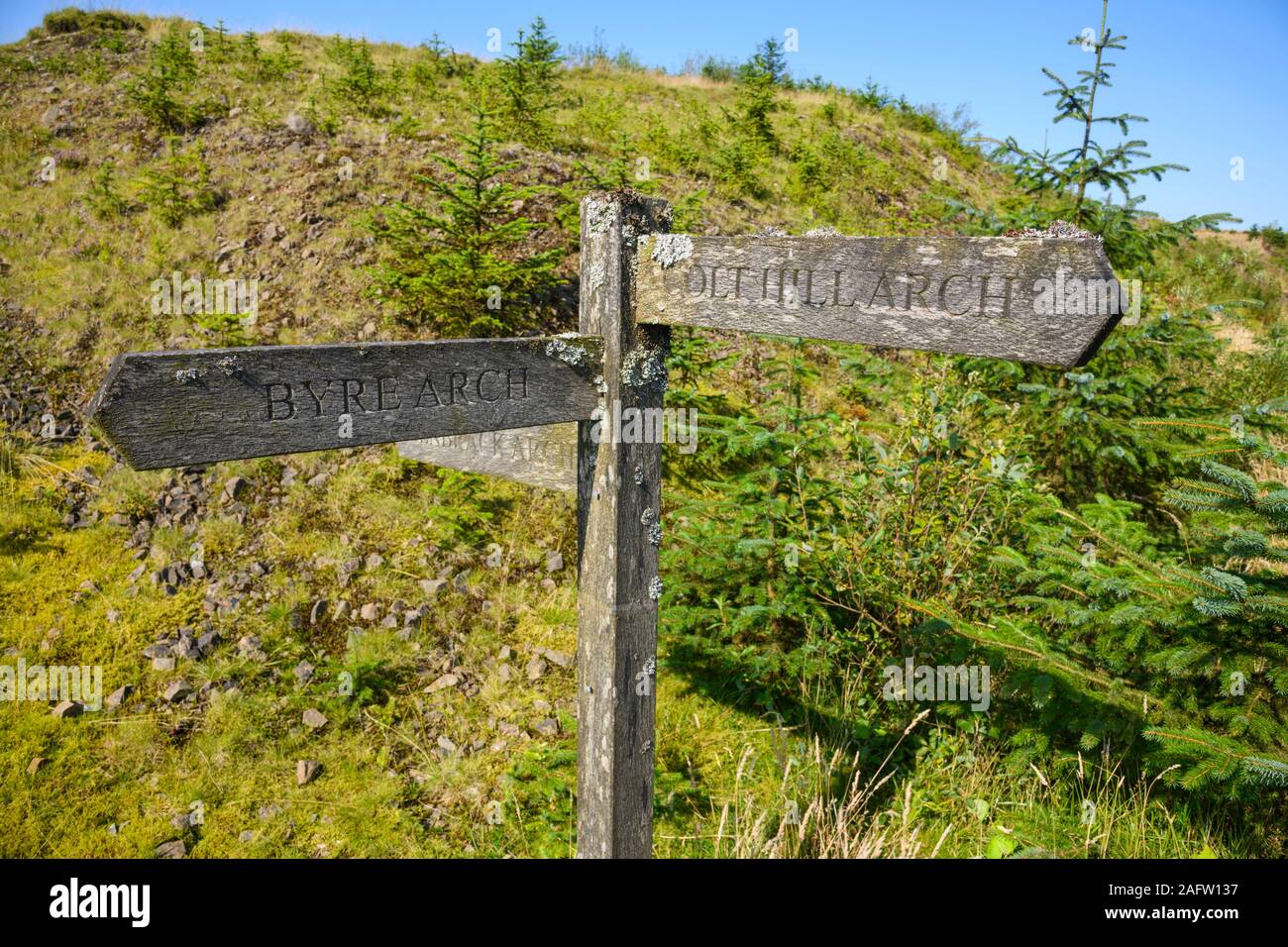 Mit Flechten überdachter Fußweg zu The Striding Arches, Dumfries & Galloway, Schottland Stockfoto