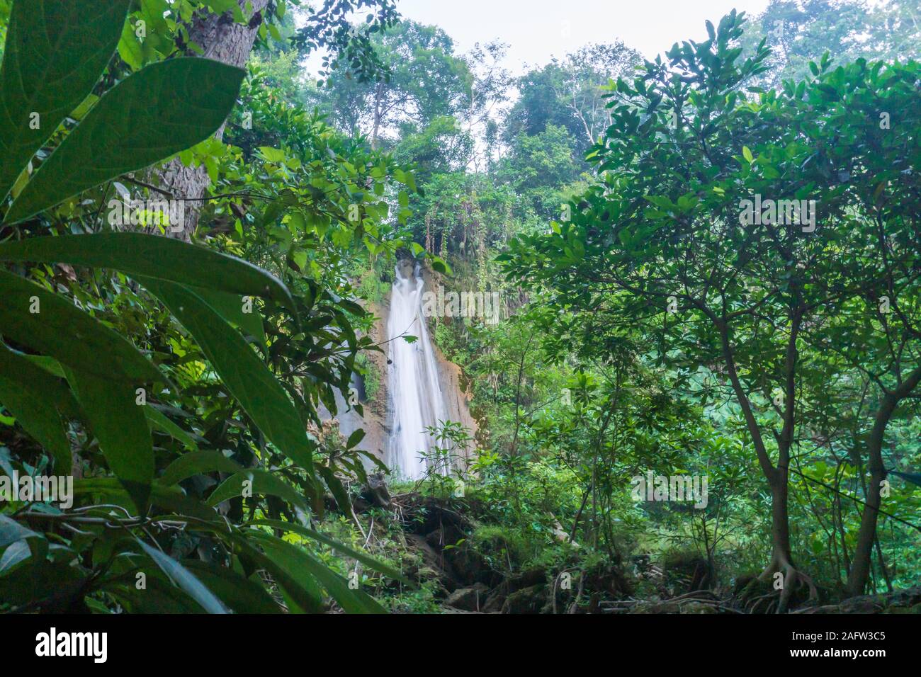 Kalkstein Wasserfall in einem grünen Wald Stockfoto