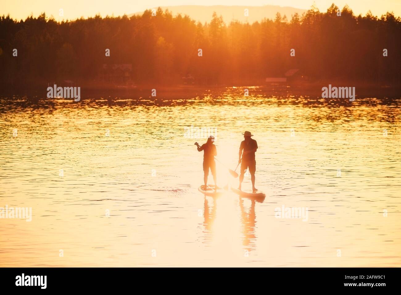 Silhouette Paar standup paddleboarding an sonnigen Sonnenuntergang See, Shawnigan Lake, Kanada Stockfoto