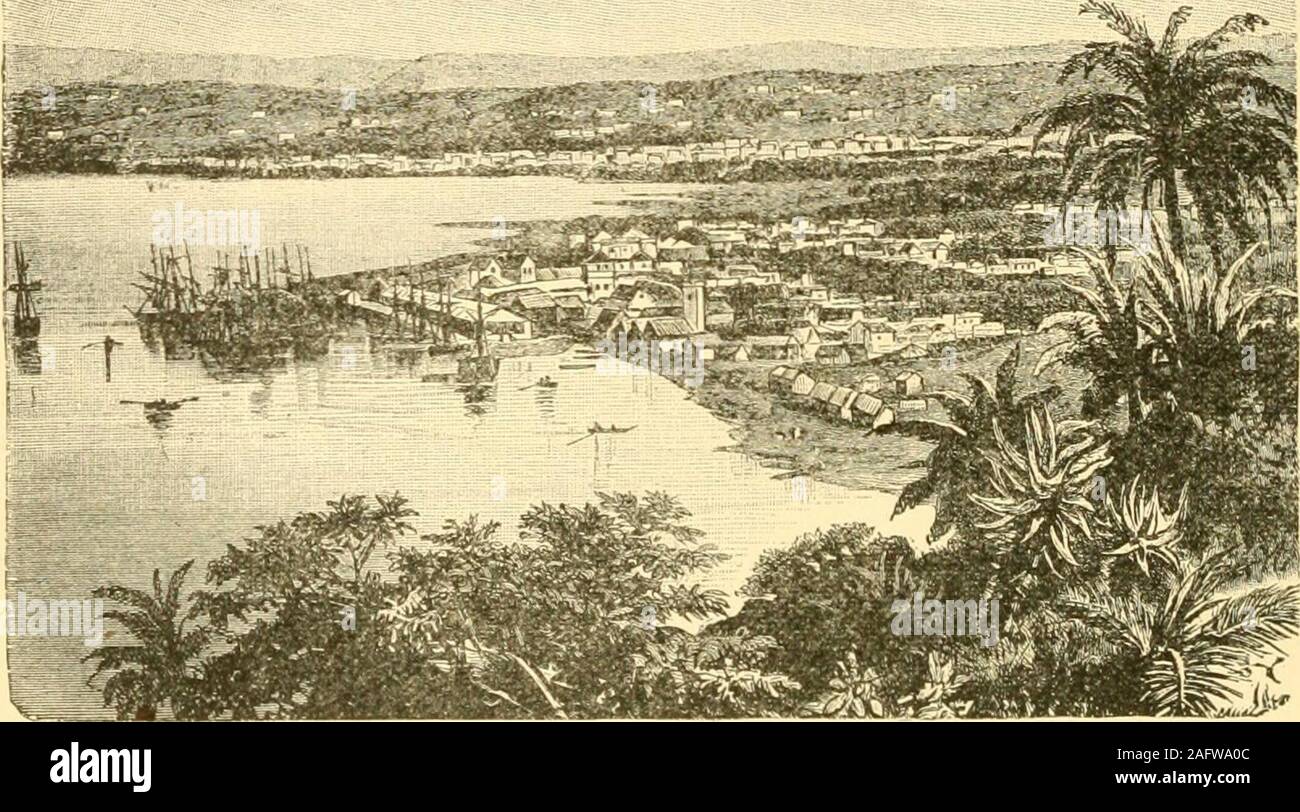 Napoleon zeigte -Fotos und -Bildmaterial in hoher Auflösung – Alamy