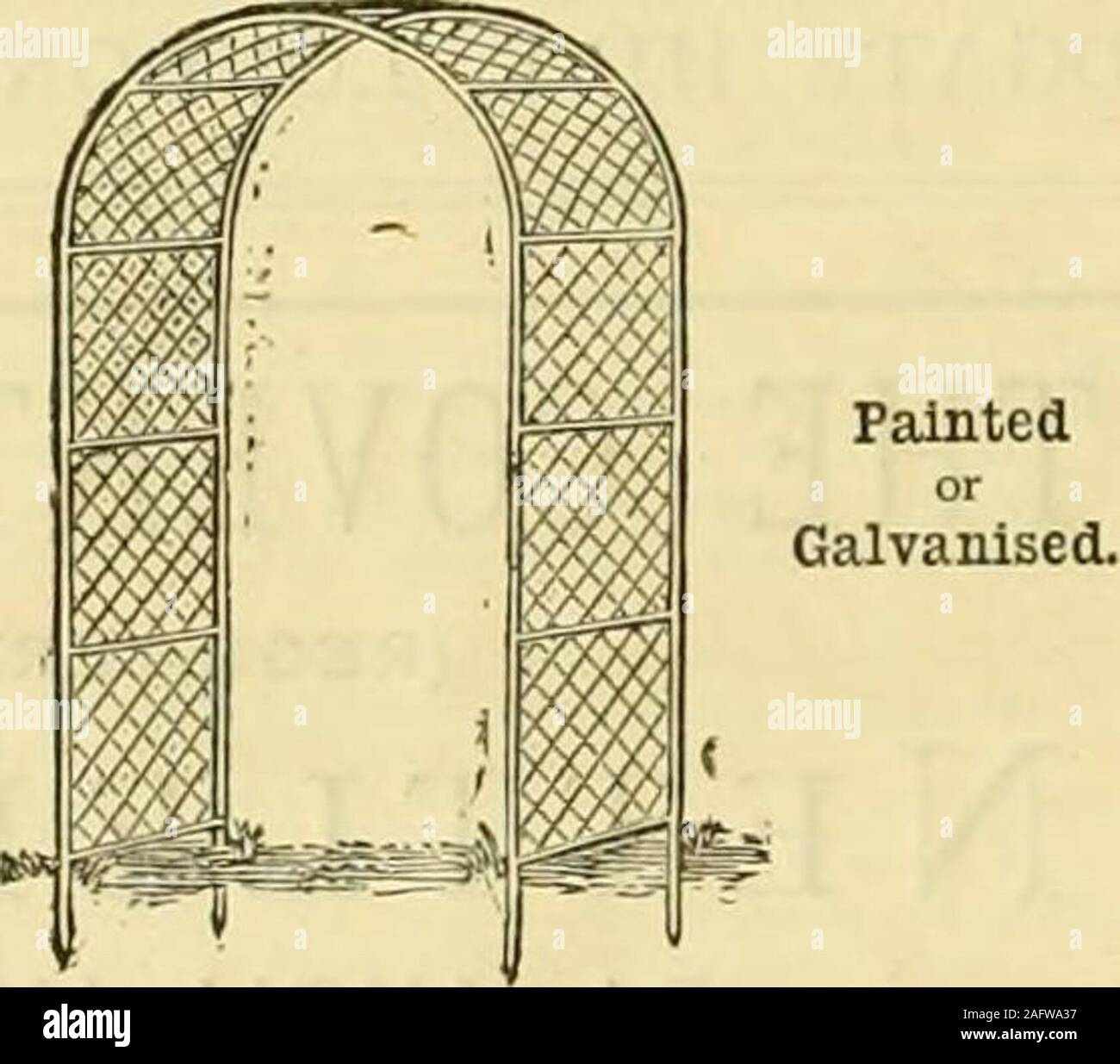 . Die Gärtner' Chronik: Eine wöchentliche Illustrierte Zeitschrift über Gartenbau und verwandte Themen. I. in Thornton, TURNIIAM GREEN, LONDON, W. GOLDMEDAILLE AWARPKD bis ¥&lt;. - ^^iGte ^M J-J-THOMAS & Co., %S WSM §^^ Ausstellung, 1878, Mias^^^-t*;^ Für Kabel zu Hortlcul - =^* 4^S=*liche Zwecke. Garten Bögen. Muster, Nr. 51.. Von Größen und Preise. Masse. lackiert. ? Pan. Breit. Grün. Verzinkt. ft.in.ft.in.ft, in. ? C s. d. £, n. d. 7 0? 4 0 1 0.. 0 10 6. 0 12 6 7 6. 4 6 16 .. 0 17 0. 0 ig 6 8 0. 5 0..20.. 160 III 6 Andere Größen bei Pt-oportioitate Preise. Illustrierte ariden Preis C Stockfoto