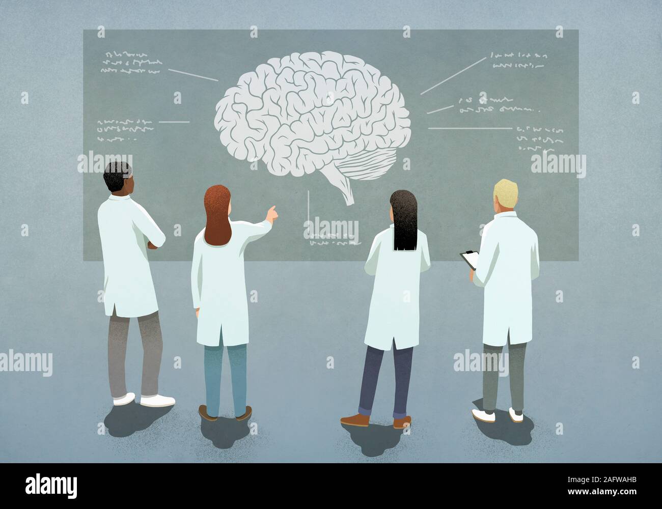 Wissenschaftler diskutieren Gehirn Diagramm Stockfoto