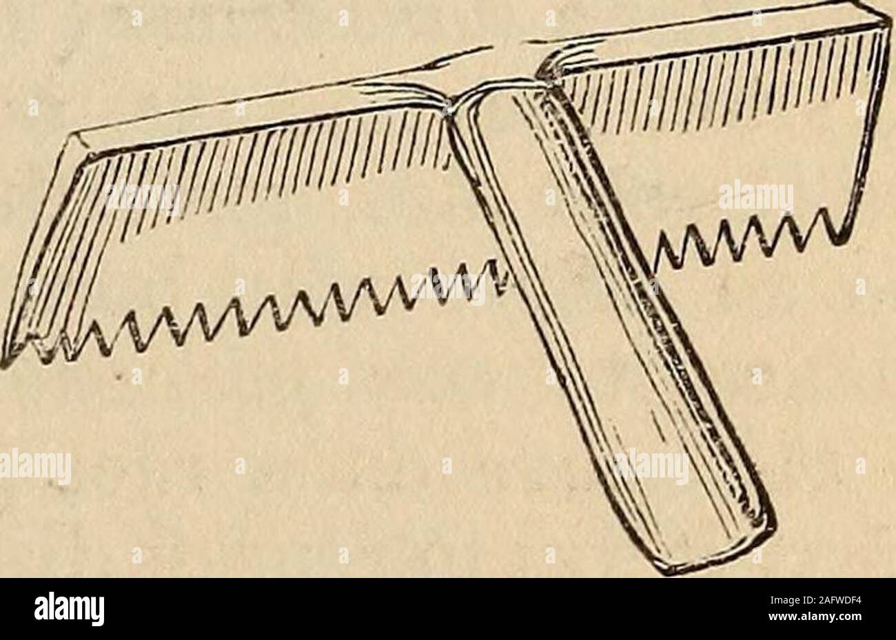 . Die in der Abbildung dargestellte Begleiter für das Lateinische und Griechische Wörterbuch Lexikon; ein Glossar aller Wörter, die sichtbare Objekte mit der Kunst verbunden, produziert, und den Alltag der Griechen und Römer, mit Darstellungen von fast zwei Tausend Objekte aus den antiken. Hammer, von Smiths, wie Wecall ein holzhammer (Isidor verwendet. Orig. xix. 7. 2.); wie die annexdexample aus dem Vatikan Virgil gezeigt, andused von einem der Smiths auf S. 288. MARRA. Eine Art Hacke mit im Ausland (Lata, Columell. x 70.), mit den Zähnen (Id.x eingerückt. 88.), die in gardeningand h beschäftigt Stockfoto