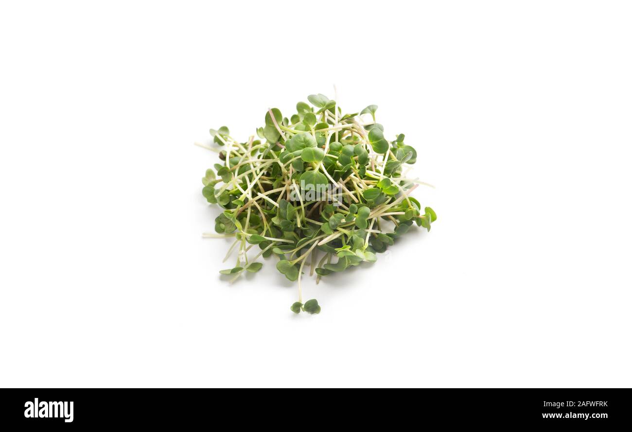 Microgreen eco Essen auf weißem Hintergrund Stockfoto