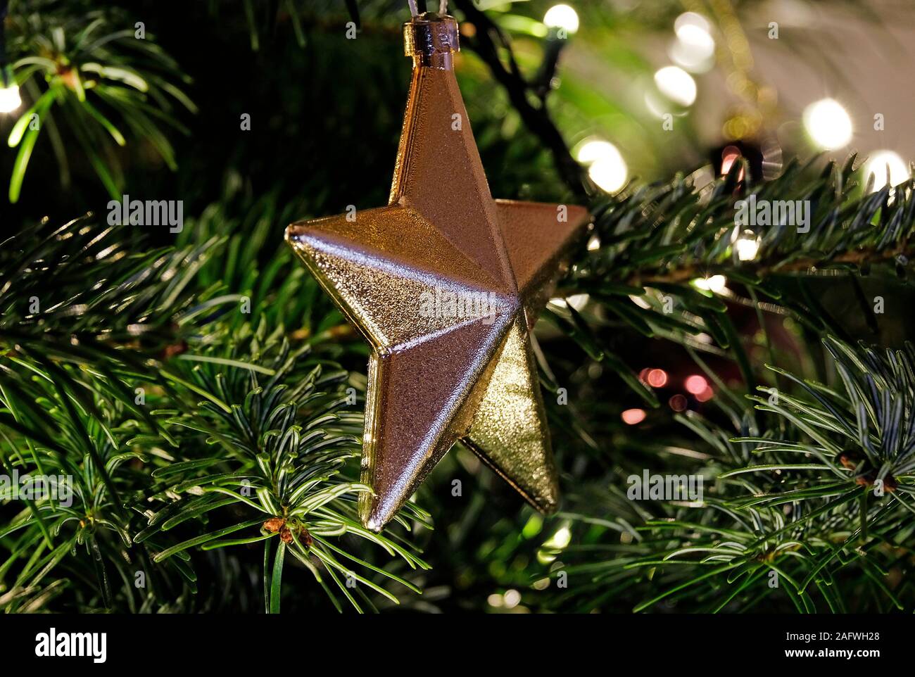 Golden dekorative Stern auf Weihnachtsbaum Stockfoto