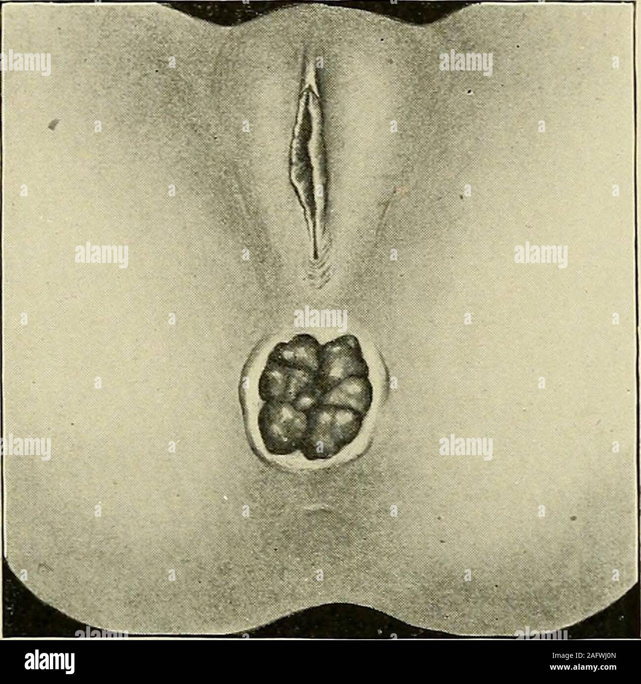 Haqiqiy ayol orgazm onlayn video