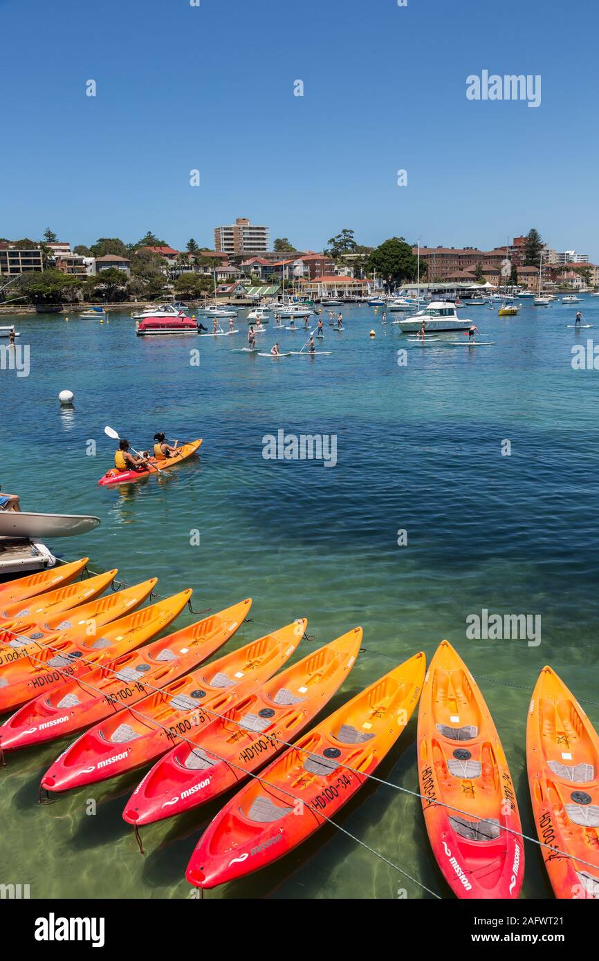 Paddle Boarding, Manly Harbour, Sydney, Australien Stockfoto