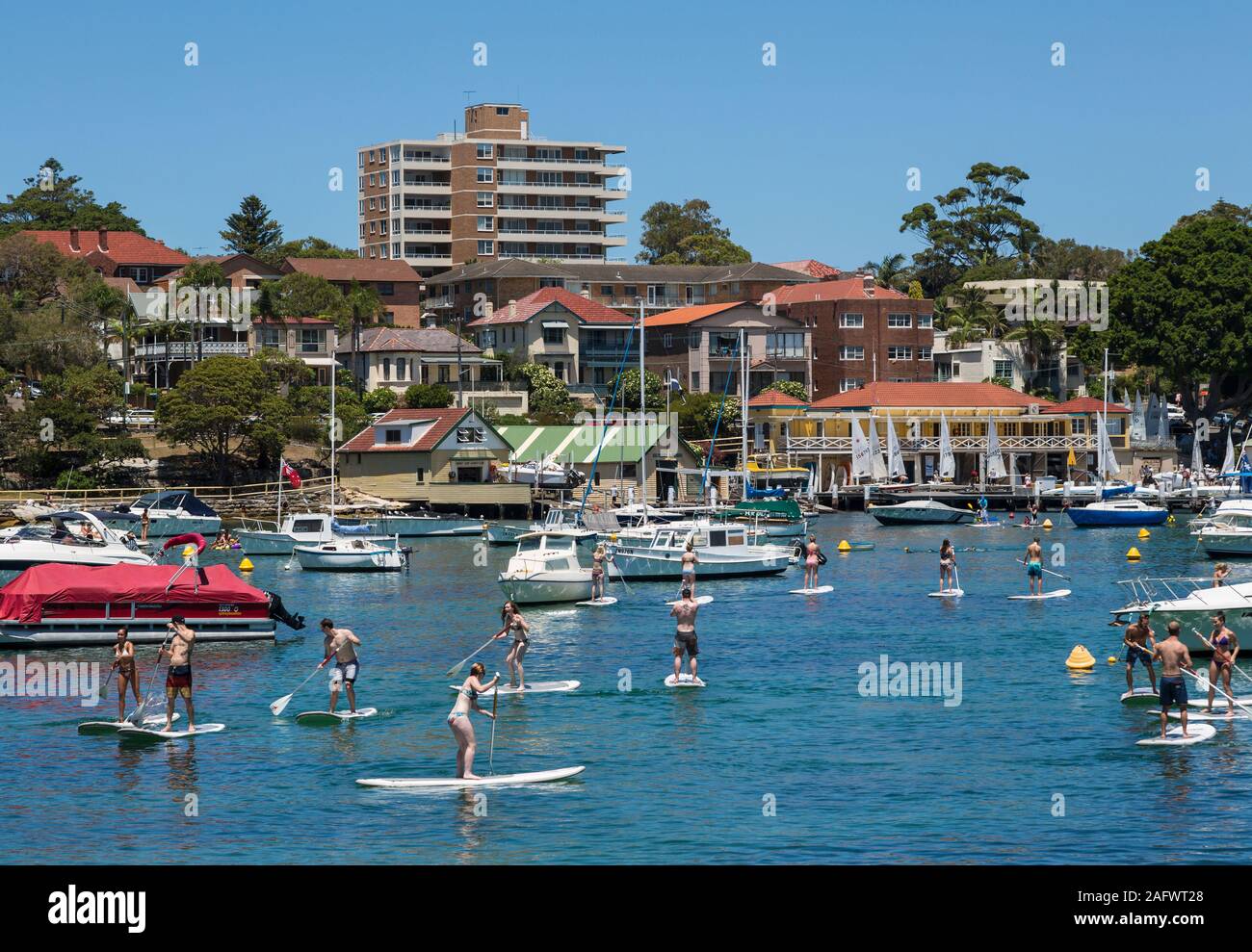 Paddle Boarding, Manly Harbour, Sydney, Australien Stockfoto