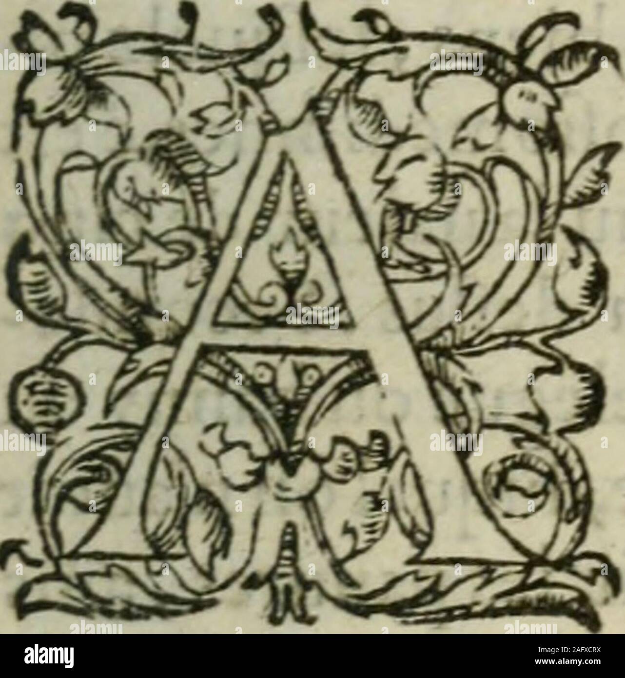 . Les Vies des hommes illustres, grecs et Romains, Comparées l'une avec l'autre. Eine RIS-TID? S. RI s? Ich D? S Filz de Lyiî - machus, eiloir dubourgdAIopeccimais quâcà certaindelaligneeAntiochidc pour, Les biens de à-fcs facultez, auf en a en efcrit diueriesmanières, que pource lesuns difent qui! Uefcut toute ia uie, lef-Quelles après en Trefe - ftroitte pauureté, ôc Quil laiiîà Deux fiiles La Mort De leur Père demourerenclong temps Fans eftre mariées à caufe de leurpauureté: & combien que la plus Parc des ein-cienes hiftoires {accorde à Cela, neantmoinsDcmettius Phalereus en un liure Quil a intitu Stockfoto