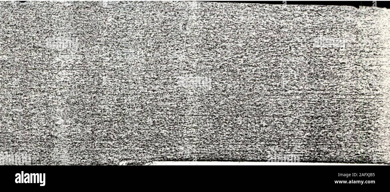 . Das Christentum so alt wie die Schöpfung, oder, Das Evangelium, eine Neuveröffentlichung der Religion der Natur. ^ s-^t-Sz??-?-- •--:??, £** "?"., * B^C^j.***^ Ads?-------. .;: - - IC^•<^T-------<--: *-4" 3*------- V. Stockfoto