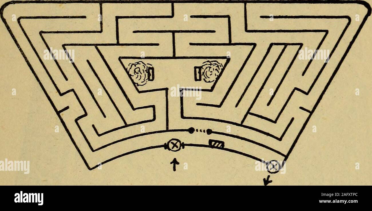 . Irrgärten und Labyrinthe; ein allgemeines Konto ihrer Geschichte und Entwicklungen. Abb. 113. Das kleine Labyrinth. [Foto: G. F. Grün die Hecke war zunächst ausschließlich aus Hainbuche, aber, wie die meisten ihrer Art, hat es Erneuerung atvarious Punkte von Zeit zu Zeit, und dies hat nicht alwaysbeen mit dem entsprechenden Material durchgeführt. Theresult, wie sie in unserem Foto gesehen zu werden, ist eine patchworkof Liguster, Hainbuche, Eibe, Holly, Weißdorn und Bergahorn, ist aber fraglich, ob das Fehlen von uni-formity in diesem Zusammenhang veranlaßt die Trauer der Großteil der itsvisitors. Das Labyrinth ist so populär wie Stockfoto