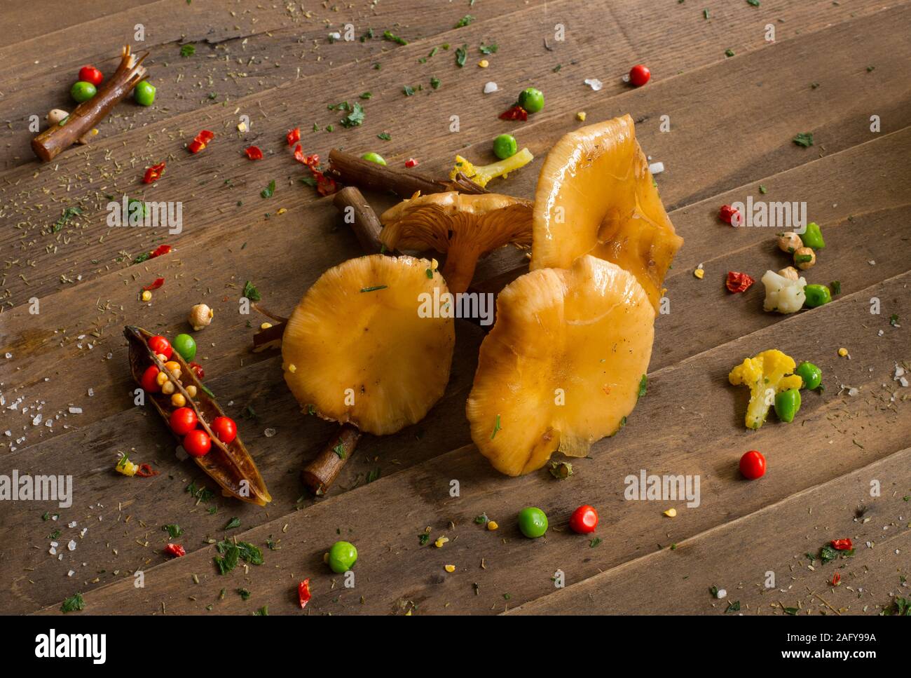 Pilz Kolonie Armillaria Mellea Pilze im Wald Stockfoto