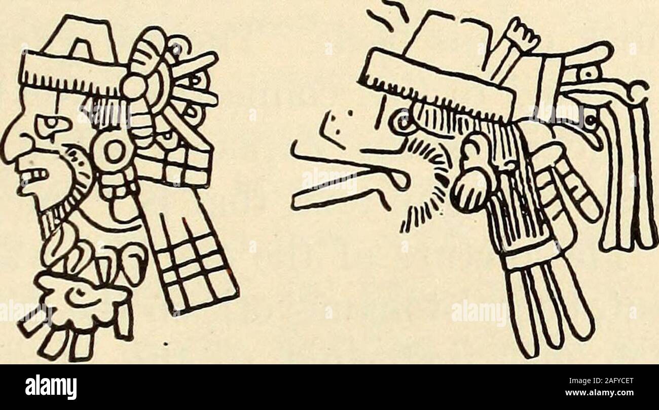 . Mexikanischen und Zentralamerikanischen Antiquitäten, Kalender, und Geschichte;. 9. b Veroffentlichungen aus dem Koniglichen Museum fiir Volkerkunde, v.1, Pt. 4, S. 126-129. seler] ERKLÄRUNG DER WANDMALEREI 315 einer Agave Blatt. Die Runde ist beendet, der Kopf Knoten, was char werden - acteristic von Quetzalcoatl, für alles, was über den Wind Gott isround oder verdreht in Spiralen, sind hier und dort zu finden. Die dornige, geschwungene Ohr Dekoration tzicoliuhqui plainlymeant nacochtli, Aussehen, wie Wenn aus einem Schneckenhaus, in der Bilder von thisgod in der Borgian Codex Vaticanus B gesehen, Coclex usw., ist ent Stockfoto