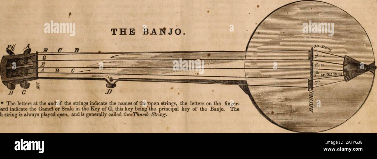 . Briggs' banjo Ausbilder [Musik]: Enthält die elementaren Grundsätze der Musik, zusammen mit Beispielen und Übungen, ... das ist eine Wahl, die Sammlung hinzugefügt, die Nummerierung über 50 populäre Tänze, Polkas, Melodien, &c. &C., von denen viele noch nie zuvor veröffentlicht worden. Ausdrücklich komponiert und arrangiert für diese Arbeit.. e3d String, th Tring ist eine Oktave über der 3D-Saite, dann die ± ig ist ein Fünftel unterhalb der dritten String abgestimmt abgestimmt. Aufgrund der Pes. tion der Banjo, kann der Musiker in zwei Tasten c-t ändert die Tonhöhe wiedergegeben, diese beiden Tasten sind die Tasten mit der th String. Die 3d Stockfoto
