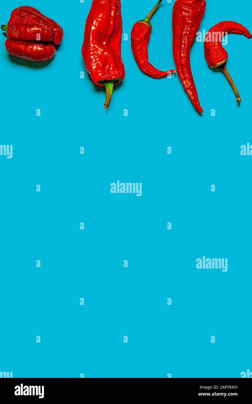 Getrocknete rote Chilischoten liegen auf einem farbigen Hintergrund Stockfoto