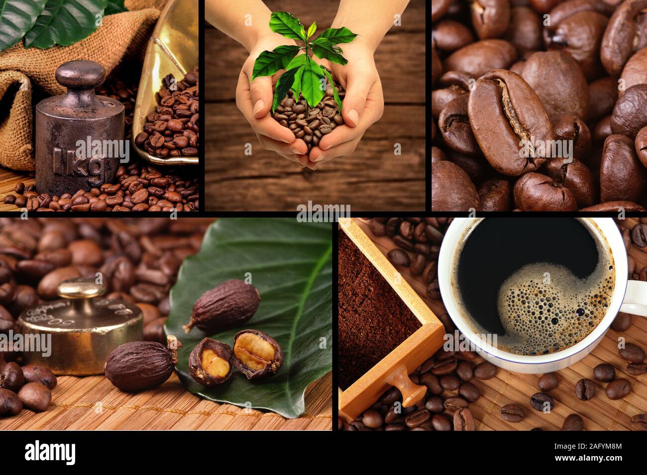 Collage mit frischen Kaffeebohnen, Tee und Kaffee Kirschen Stockfoto