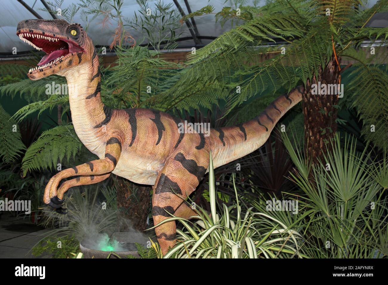 Velociraptor Dinosaurier Skulptur Stockfoto