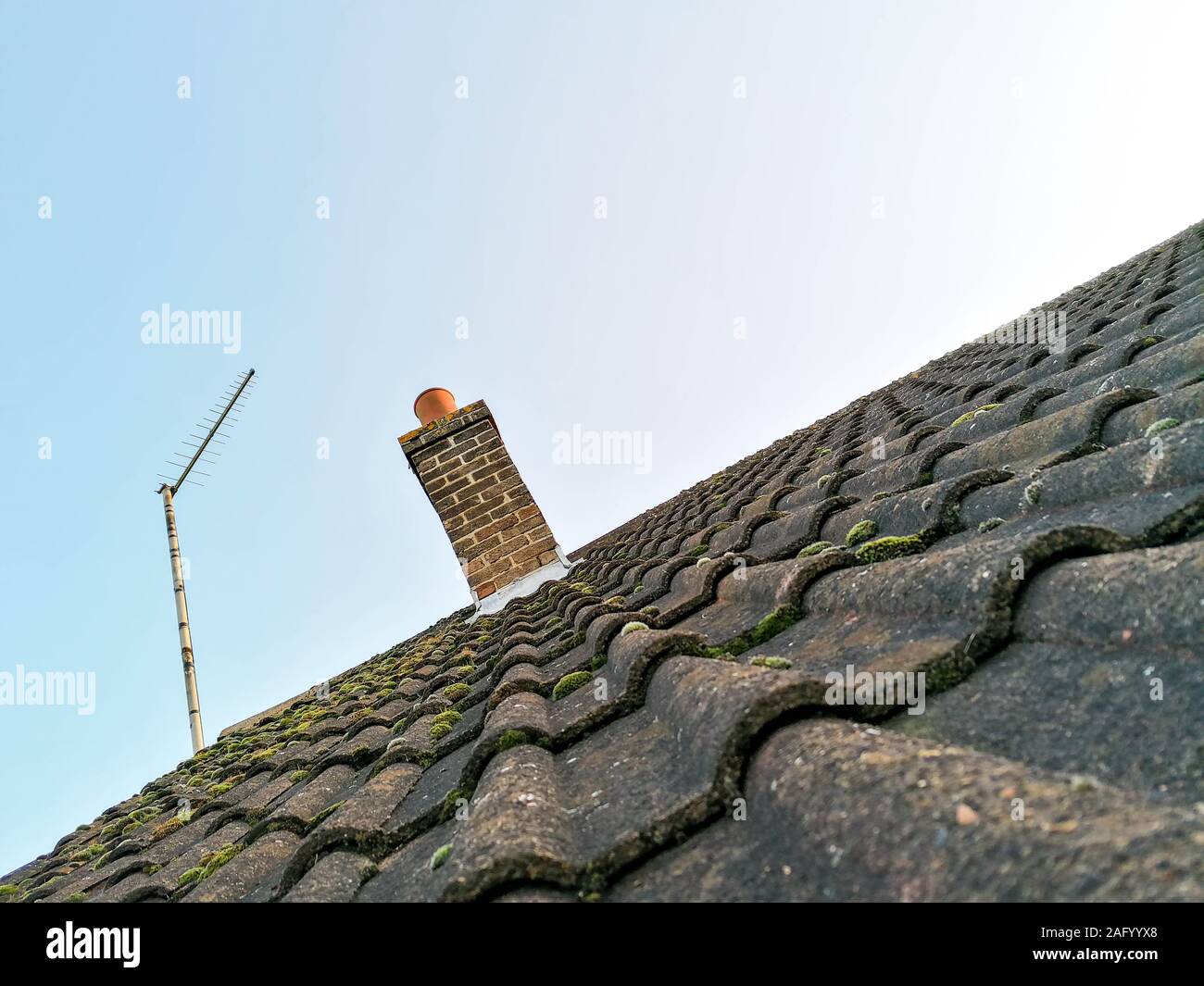 Ein typischer Haushalt auf dem Dach, die geneigt ist und mit Kugeln von Moos bedeckt. Stockfoto