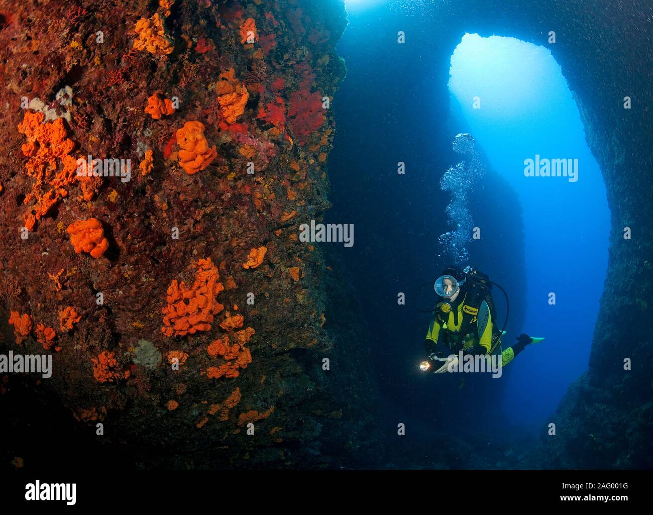 Scuba Diver in einem mediterranen Reef, Unterwasserhöhle overcrusted mit roten Schwämmen, Zakynthos Insel, Griechenland Stockfoto