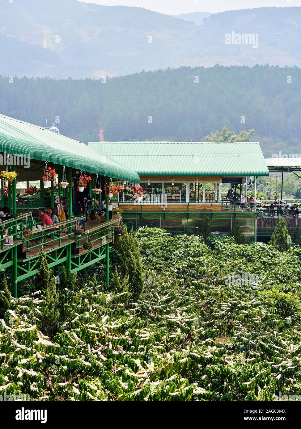 Die Fassade eines Cafe bei einem Kaffee planation in den Bergen von Da Lat suchen Stockfoto