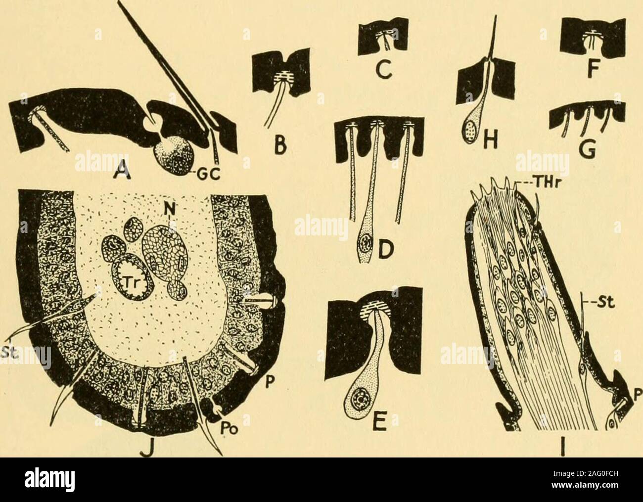 E 8 18 53 Fotos und Bildmaterial in hoher Auflösung Alamy