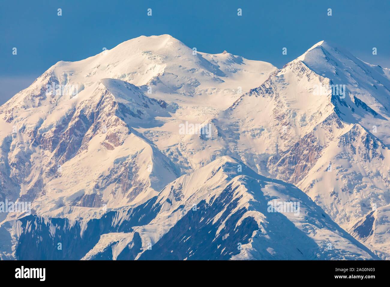 Denali (20.320 ft) von Stony Hill im Denali National Park, Alaska Stockfoto