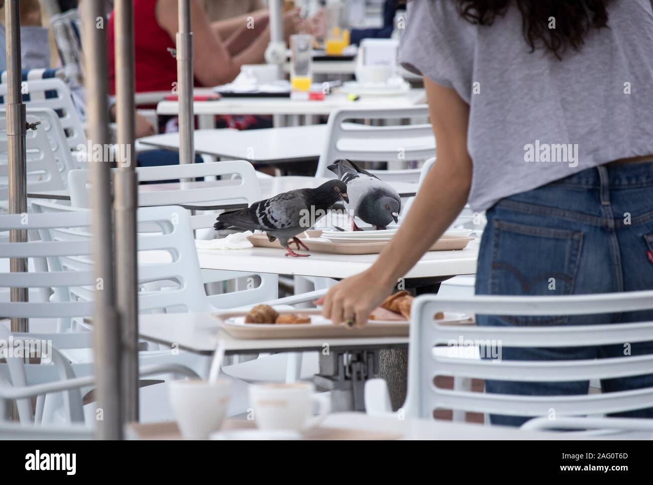 Wildtauben fressen auf einem Kaffeetisch im Freien in Spanien Reste Stockfoto