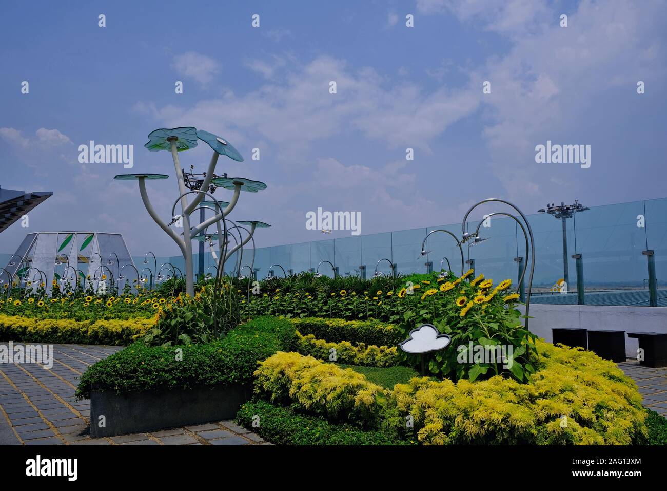 Sonnenblume Park mit großen Blumen von einem Zaun umgeben. Ökologische Konzept in der städtischen Umwelt. Stockfoto