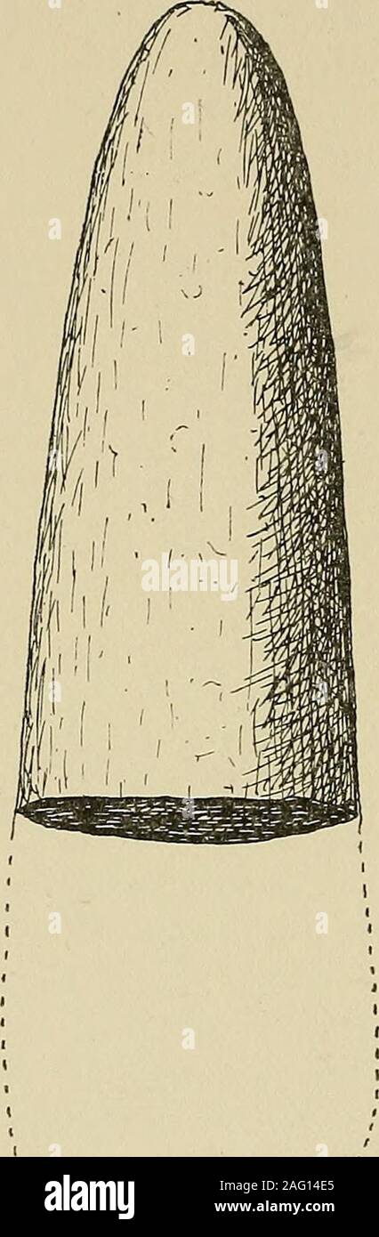 . Archaeology und falsche Antiquitäten. Eine zylindrische Masse von Stein. Diese masshe gezwungen, aus der mit erheblichen Schwierigkeiten auf accountof die Härte der Kies, in der es dicht verkeilt war. Er hinterließ eine perfekte Besetzung seiner Form in der Matrix, andproved ein Teil zu sein von einer polierten Stein, kein Zweifel apestle. 2^ loc. cit., S. 452. ^ Bull. Geo. Soc. of America, 1891, S. 193. Der unglückliche Teil, sagt, Mr. Holmes, über diese sehr noteworthyfeature des Zeugnisses ist, dass Herr König - nicht zu veröffentlichen - dass er failedto der Welt geben, was gut behaupten konnten die Mos werden Stockfoto